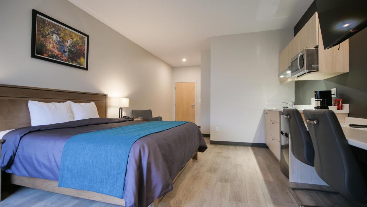 Carleton-sur-Mer Motel L'Abri מראה חיצוני תמונה